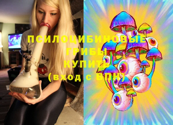 соль ск Балахна