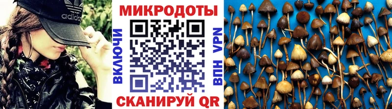 Галлюциногенные грибы MAGIC MUSHROOMS Кузнецк